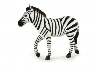 MALE ZEBRA