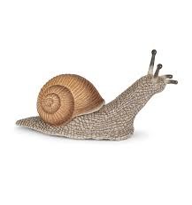 SNAIL