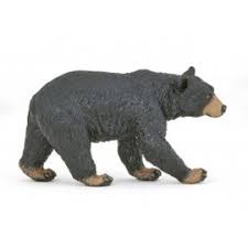 BROWN BEAR