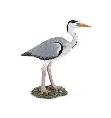 GREY HERON