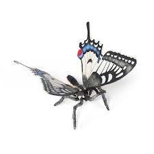 SWALLOWTAIL BUTTERFLY