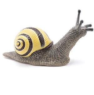 GROVE SNAIL
