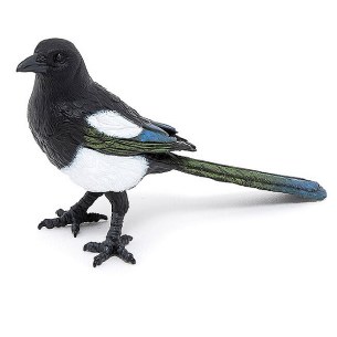 MAGPIE