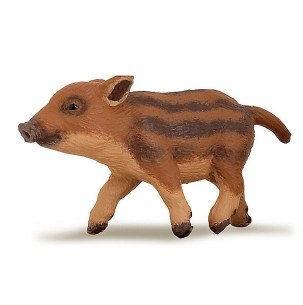 YOUNG WILD GOAR