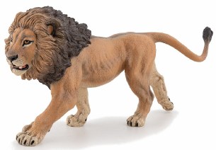 AFRICAN LION