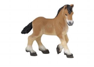 PAPO ARDENNAIS DRAFT FOAL