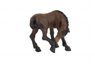 PAPO LUSITANIAN FOAL