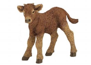 LIMOUSINE CALF