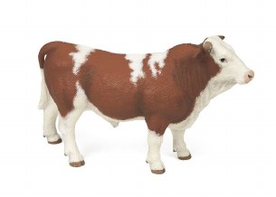 SIMMENTAL BULL