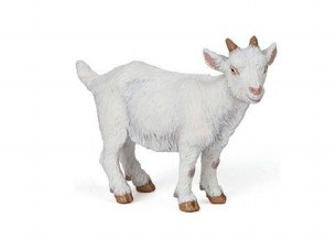 WHITE KID GOAT