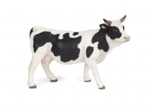 BLACK AND WHITE COW