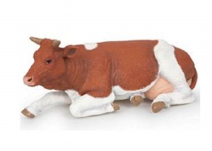 LYING SIMMENTAL COW