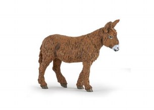 POITOU DONKEY
