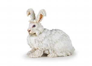 ANGORA RABBIT