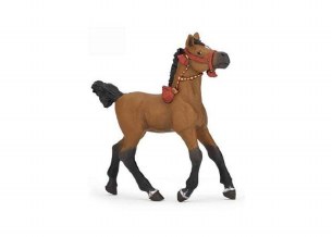 ARABIAN FOAL IN PARADE DRESS