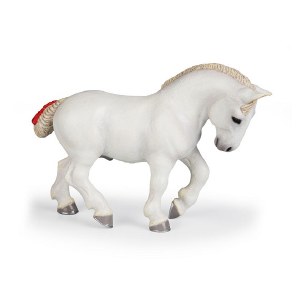 WHITE PIEBALD COB FOAL