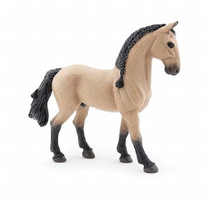 LUSITANO HORSE