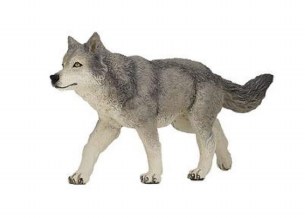 GREY WOLF