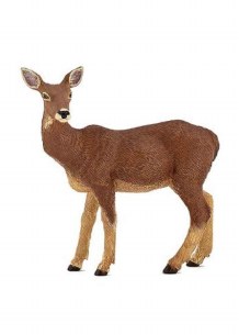 DOE