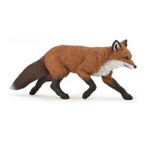 FOX
