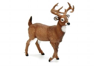 WHITE TAILED DEER