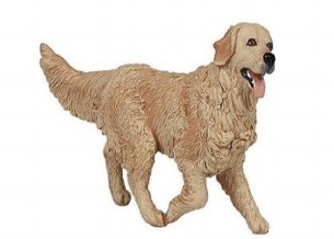 GOLDEN RETRIEVER DISC.