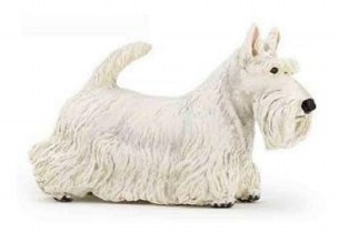 SCOTTISH TERRIER