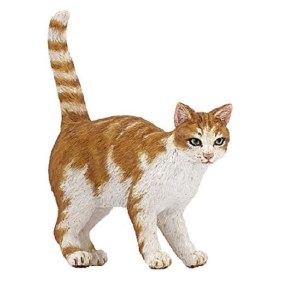 RED TABBY CAT