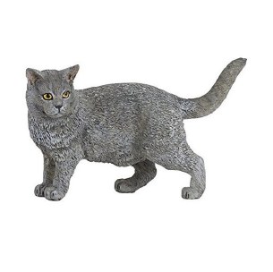 CHARTREUX CAT