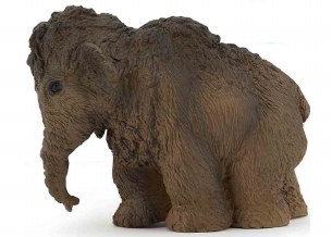 BABY MAMMOTH