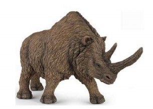 WOOLLY RHINOCEROS