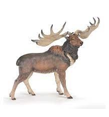 MEGALOCEROS