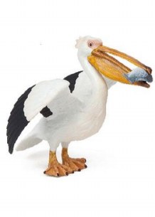 PELICAN
