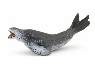 LEOPARD SEAL