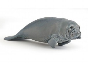 MANATEE