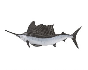 PACIFIC SWORDFISH