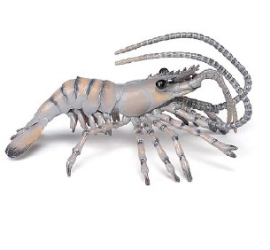 SHRIMP