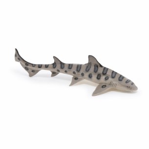 LEOPARD SHARK