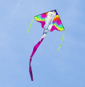 SIMPLE FLYER PEGASUS 47IN