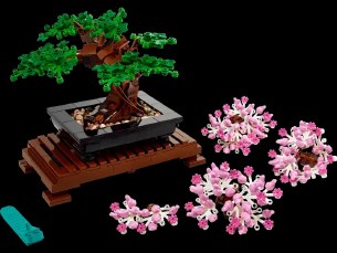 BONSAI TREE