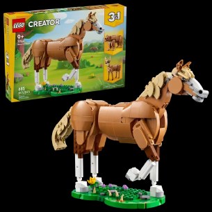 Beautiful Horse
