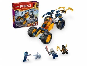 Arin's Ninja Off-Road Buggy Ca