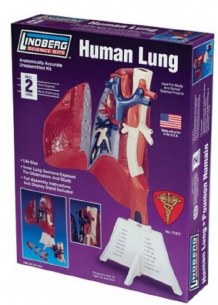 HUMAN LUNG PLASTIC MODEL KIT
