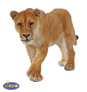 LIONESS