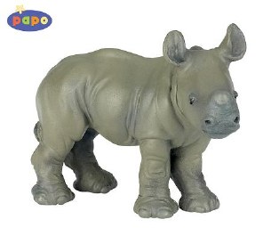 RHINOCEROS CALF