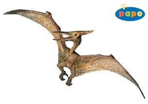 PTERANODON