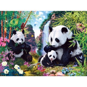 500 PC SHANRI LA
