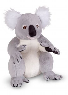 KOALA BEAR