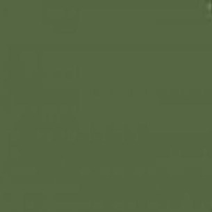 RUSSIAN DARK OLIVE 2 1 OZ