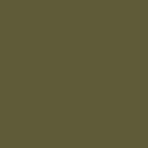 OLIVE DRAB 41 USAF WWII 1 OZ